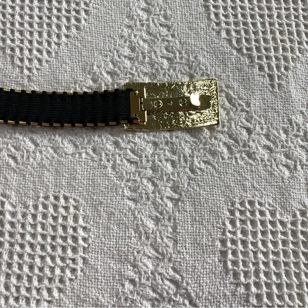 Vintage Scaley Belt